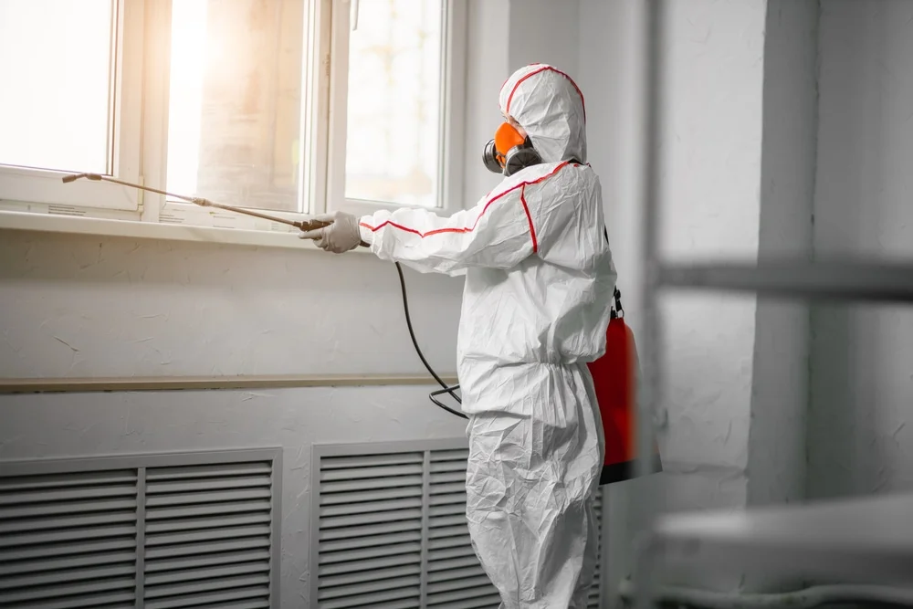 Professional mold remediation services in Albany, OR